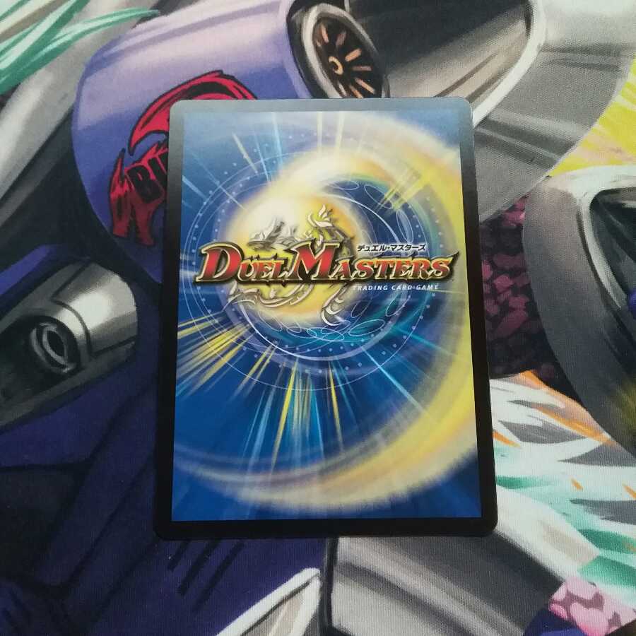 天命龍装 ホーリーエンド ナウオアネバー シク