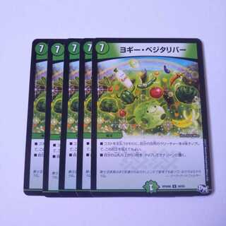 ヨギーベジタリバー 5枚