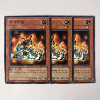 ネコ耳族 ノーマル