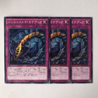 バージェストマ・カナディア ノーマル JP040