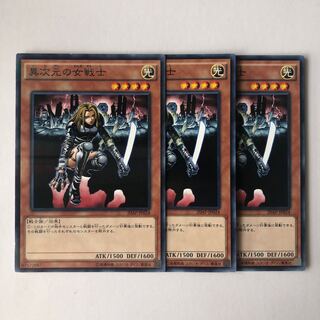 異次元の女戦士 パラレル ノーマル JP024