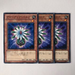 グローアップ・バルブ ノーマル JP021