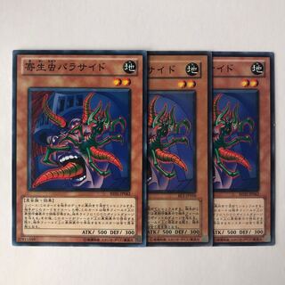 寄生虫パラサイド ノーマル