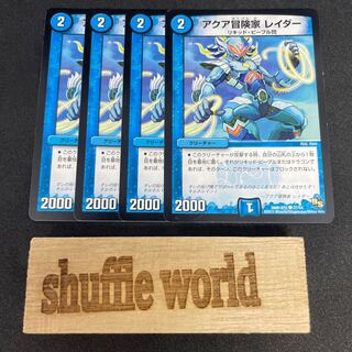 Aqua Adventurer Raider 346