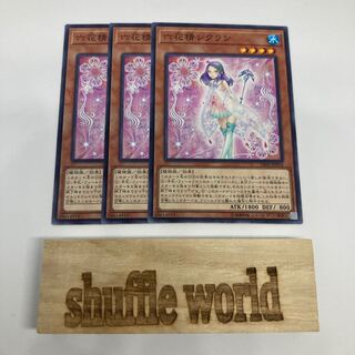 Cyclamen the Rikka Fairy 756