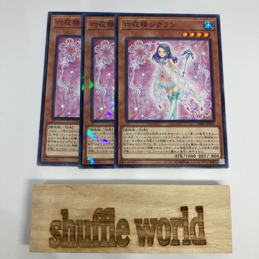 Cyclamen the Rikka Fairy 766