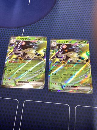 Lidth's jellyfish (Nemopilema lidthi) ex.