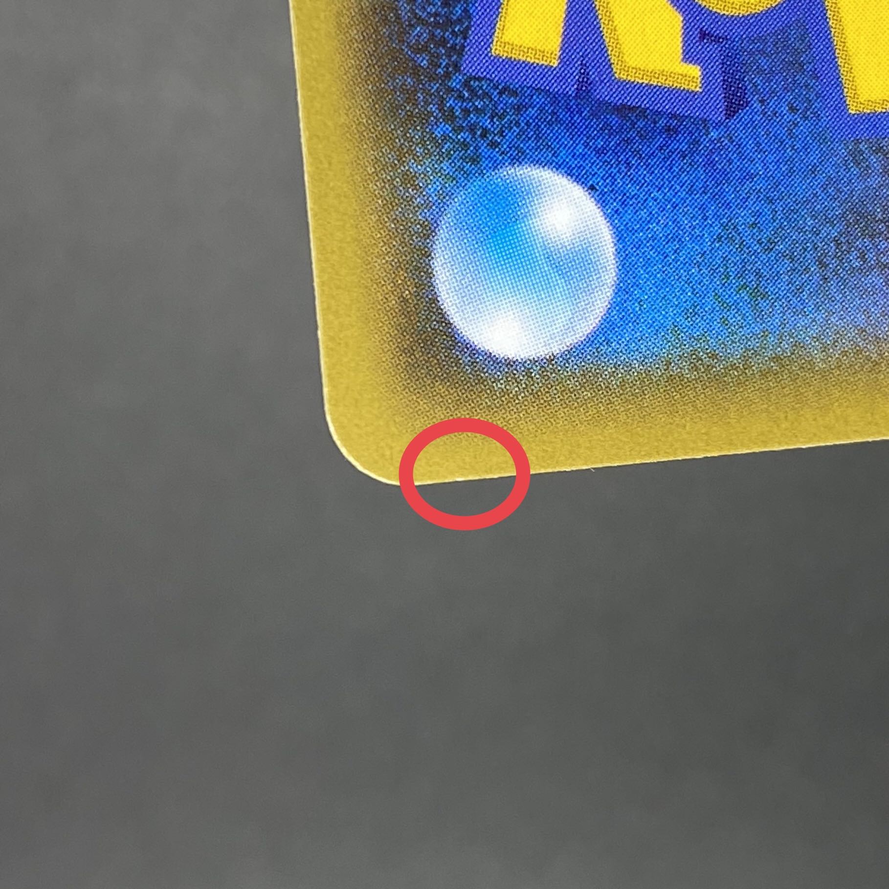 ブラッキー&ダークライGX SR 182/173