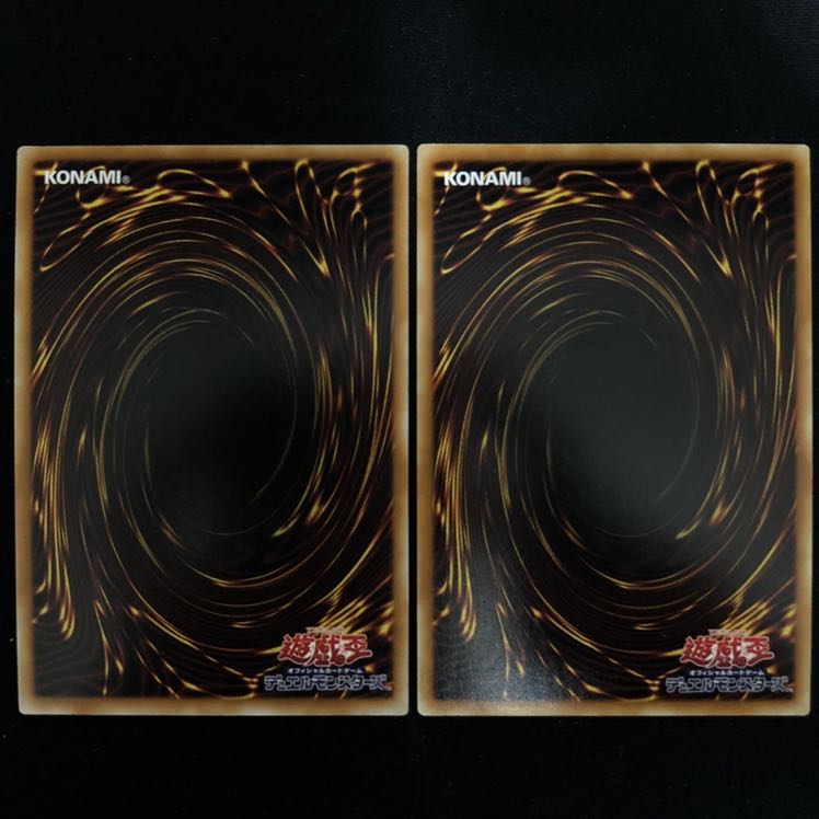 ジェスター・コンフィ　スーパー　2枚