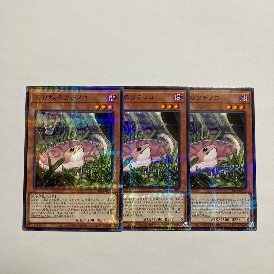 未界域のツチノコ ノーマルパラレル