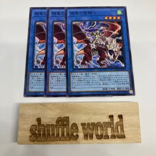 鎧竜の聖騎士 848