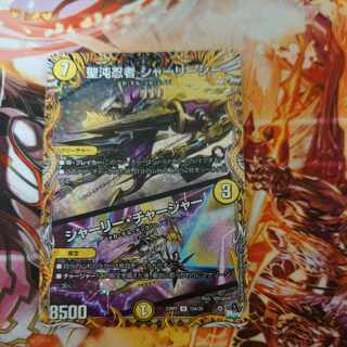 聖沌忍者 シャーリーシー / シャーリー・チャージャー DM23RP2 15A/20