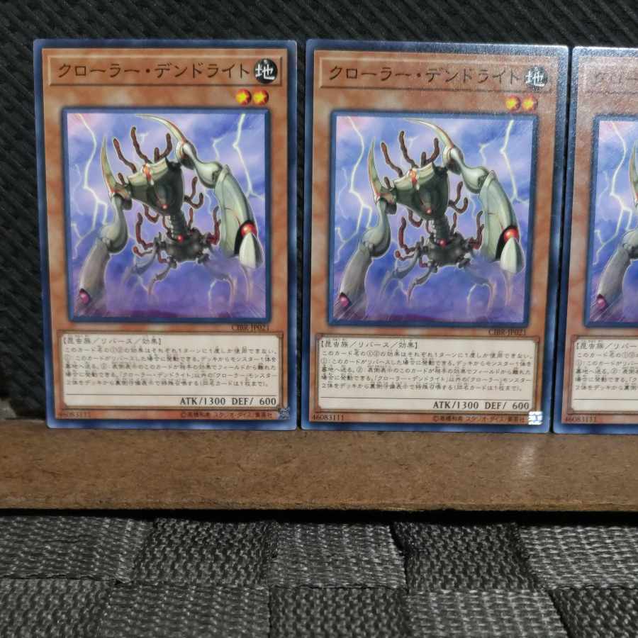 【ぽぽたん】遊戯王 6931 クローラー・デンドライト 3枚 ノーマル