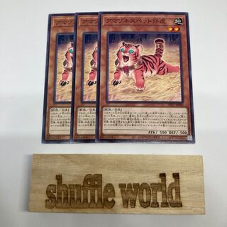 アマゾネスペット仔虎 873