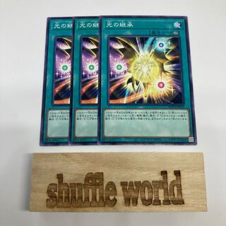 Inheritance of light 879