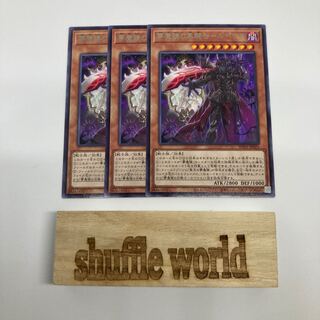 NightmareBlack Knight of Mirror-Rupeus 884