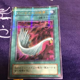 Haar Cleffa feather broom