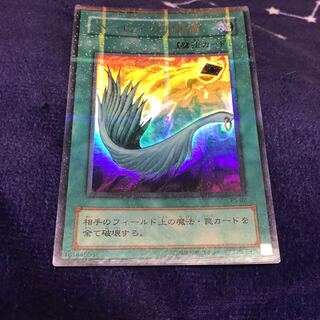 Haar Cleffa feather broom