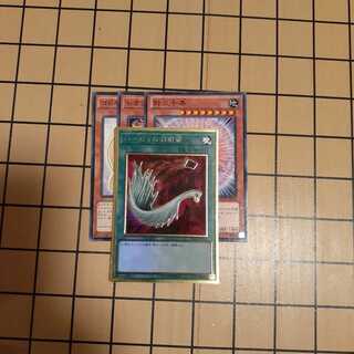 ハーピィの羽根帚+α