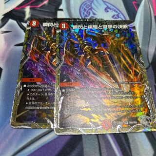 瞬閃と疾駆と双撃の決断