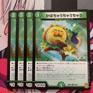 かぼちゃうちゃうちゃう R 20/95