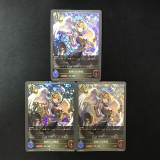 鳥飼いの使徒　PR