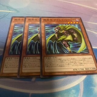 風来王 ワイルド・ワインド ノーマル