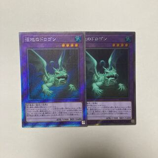 沼地のドロゴン EXSE JP029