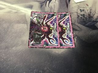 無修羅デジルムカデ