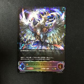 スターフェニックス　EVOLVE  PR