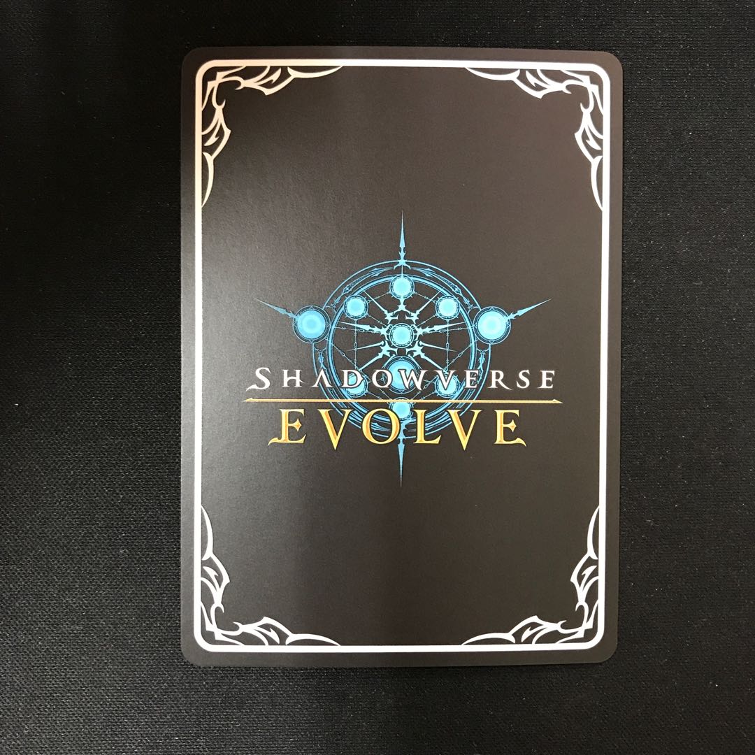 鉄槌の僧侶 EVOLVE PR