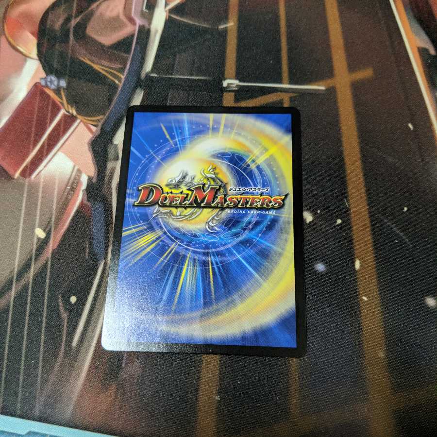 絶対の楯騎士　ko-ya様専用