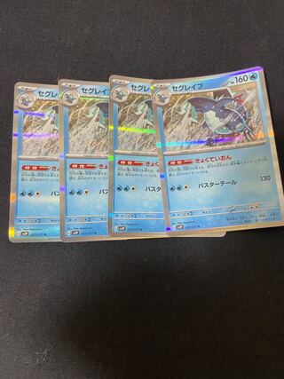 セグレイブ R 027/071