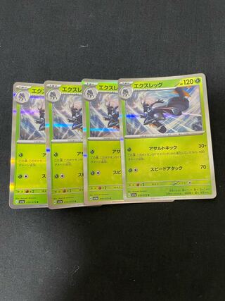 エクスレッグ R 010/073