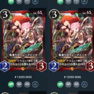 2枚竜乗りのミレーヌとニナ