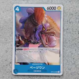 ページワン　ワンピースカードゲーム