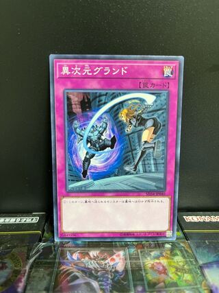 Yu-Gi-Oh Studio 4510 Different Dimension Ground Normal JP040 1 copy