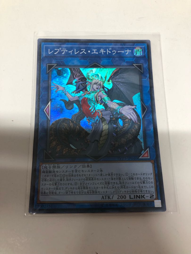 レプティレス・エキドゥーナ