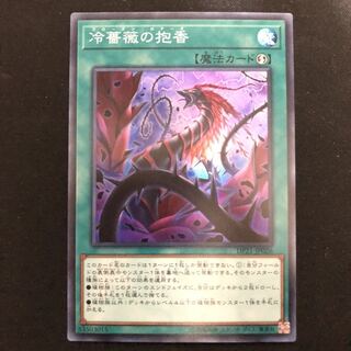 冷薔薇の抱香　スーパー　1枚