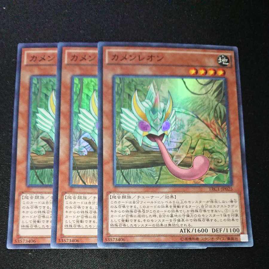 CST320 Masked Chameleon SR