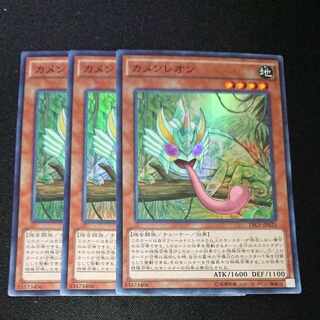 CST320 Masked Chameleon SR