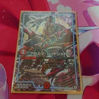 アカカゲ・レッドシャドウ