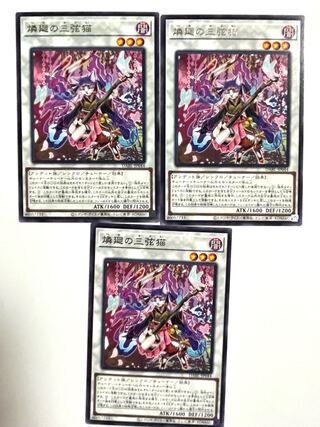 Three stringed cat of phosphorus circulation [Rare] JP044