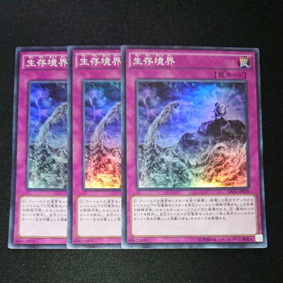 CST338 Survival's EndSR