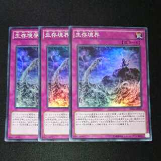 CST338 Survival's EndSR