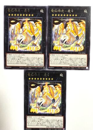 電脳堺虎-虎々【レア】JP046