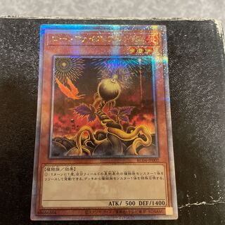 Lonefire Blossom QSE JP002