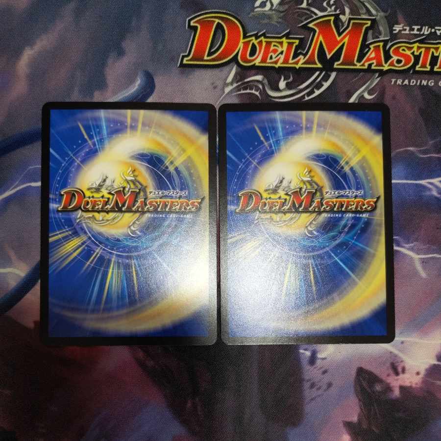 【PSA8】Disメイデン R 24/95　２枚