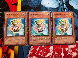遊戯王 魔轟神獣チャワ ノーマル3枚セット DT07-JP016