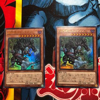 you様専用遊戯王 未界域のビッグフッド チュパカブラセット